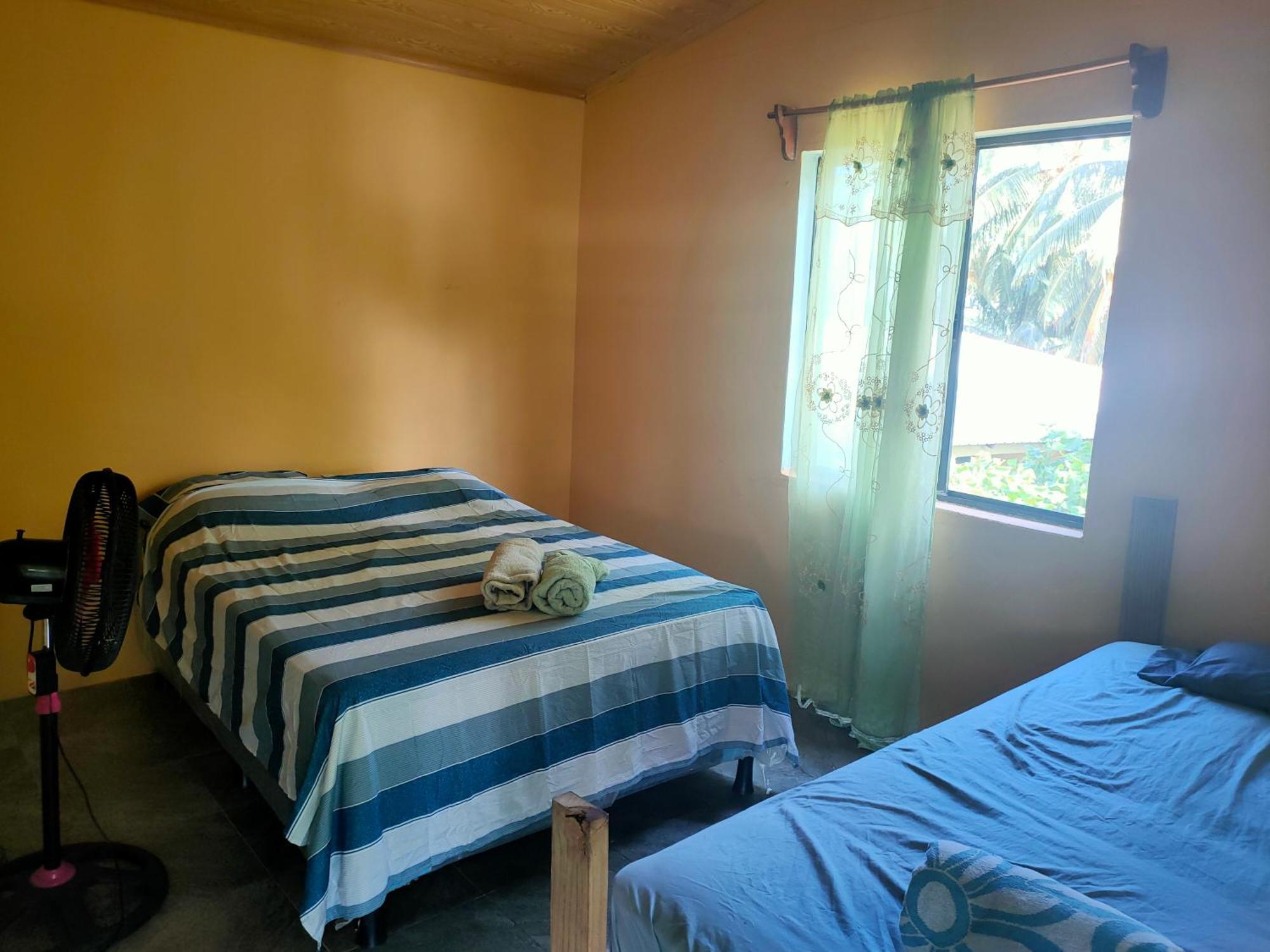 Guesthouse Island Escape South End Rum bild