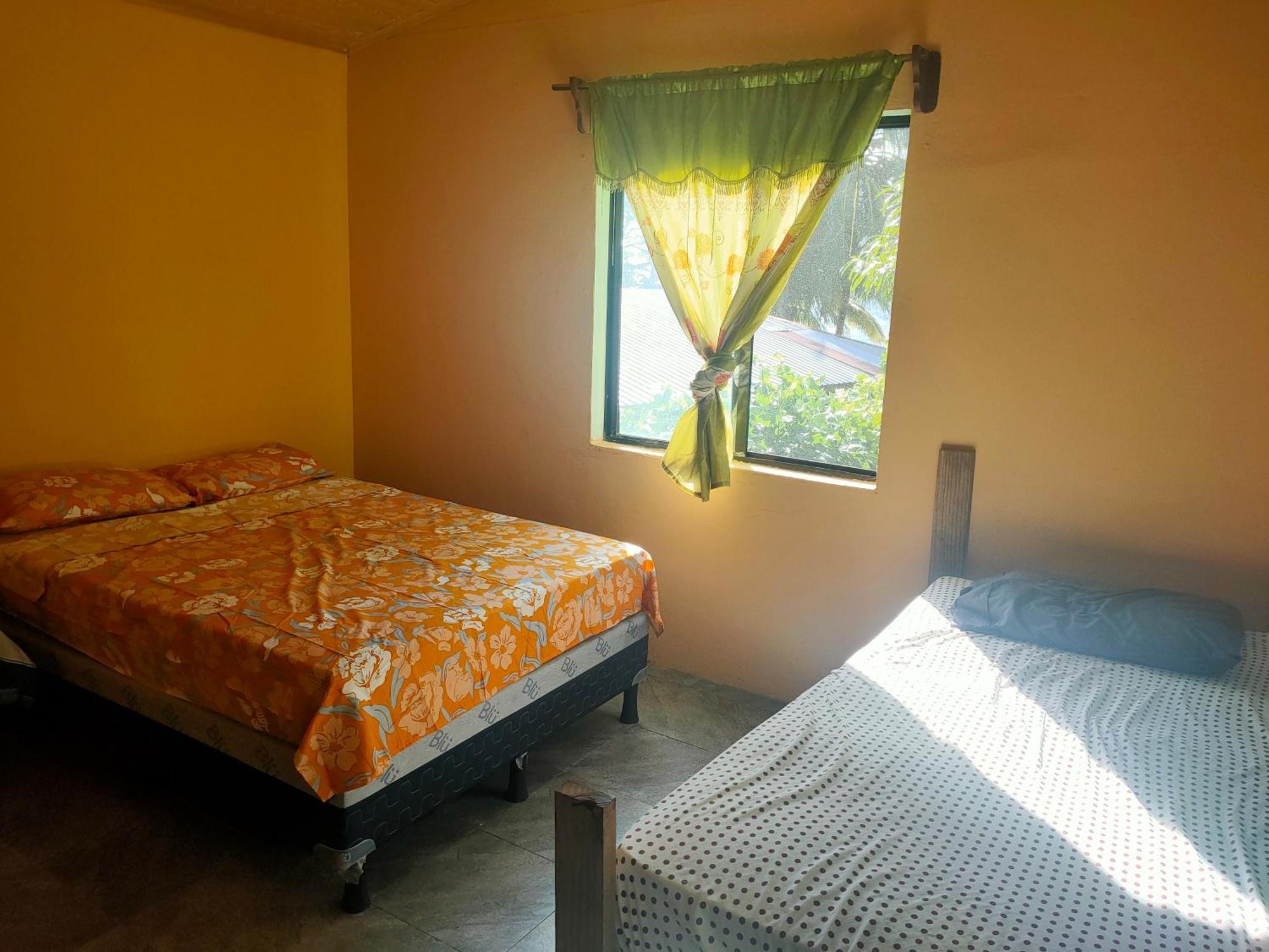 Guesthouse Island Escape South End Rum bild